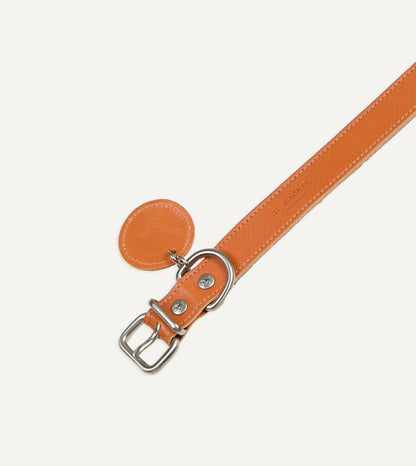 Drake's Il Bisonte Caramel Leather Dog Collar